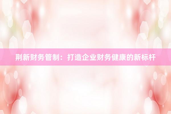 荆新财务管制：打造企业财务健康的新标杆