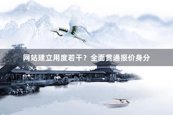 网站建立用度若干？全面贯通报价身分