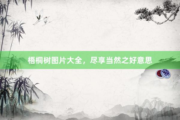 梧桐树图片大全，尽享当然之好意思